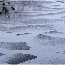 Regina Schneider Eiszeit 1 2019