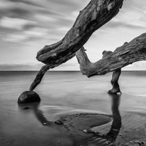 Regina Schneider aufgestützt 2023