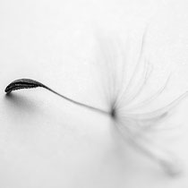 Regina Schneider zart 2024