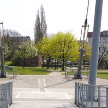  Blick von der Bogenbrücke auf das Ende des Baum-Pfades. Hinter dem blühenden Spitzahorn  ein Gerüst mit dem aufliegenden Wurzelteller einer Birke. Aufnahme-Datum: 24.04.2006