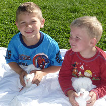 meine Jungs helfen mir gerne bei den jungen Tauben, so werden sie schnell zahm und zutraulich.