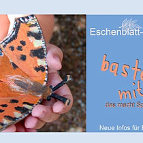 Schmetterling aus Eierkarton basteln