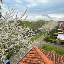 Aussicht vom Balkon