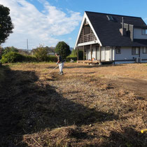 まずは雑草を処理してから、掘削作業をします。