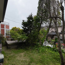大木がフェンスを押し倒してしまっています。