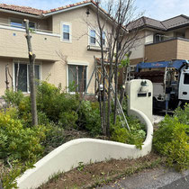 まずは大きな植栽の撤去から。枝を次々に切り落としていきます。