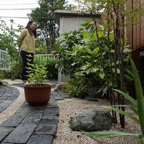 ご実家から引っ越ししてきた植物も、お庭によくなじんでいますね。