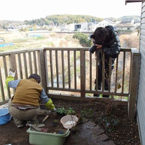 植込みしながら手法やアドバイスを語る博信氏。作業中ずっとカメラ撮影と取材は続きます。