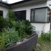 施工前、育ちすぎた植物たちをまずは撤去するところから。