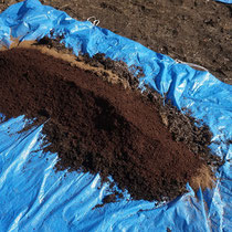 腐葉土と牛糞と油かすを配合し、施肥します。