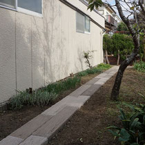 枕木の園路ができると、植物を植えこみしやすくなりガーデニングに精がでますね。