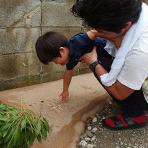 固まる土舗装には遊び心を感じるトンボのレリーフが。子供達にもたのしい隠れキャラ。