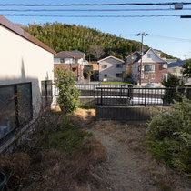 施工前、好きな植物を植える前に、まず片付けなきゃいけない気持ちになってしまいます。