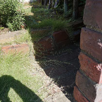 施工前、芝生が伸びてきて埋もれてしまったレンガ土留め、お庭に入りにくい状況です。