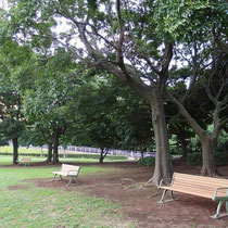 大きな公園には様々な休息施設があり、少しずつ改修させていただいております。