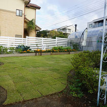 施工後、突起物や植物の周りはカットして、高麗芝が貼り終わりました。