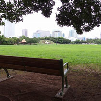 広い公園では、読書を楽しんだり子供たちと遊びに来るご家族など、たくさんの人々が利用するので安全な休息施設が求められます。