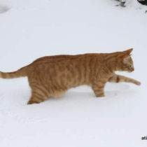 Les pattes dans le blanc!