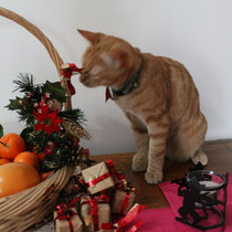 Des cadeaux???