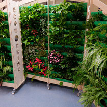 Muro verde de Ecoworking
