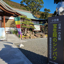 入口には看板もあり、シンパクの情報もあります