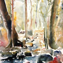 747- Le ruisseau de Sapois ,50 x 70