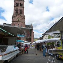 Markt in Munster