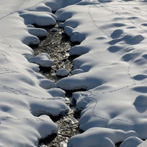 Spuren im Schnee / Kämpfer Manfred