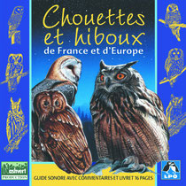 CHOUETTES ET HIBOUX