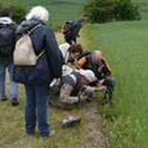 Rabenberg Juni 2010