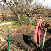 Erste Gartenarbeit im März, Umgraben