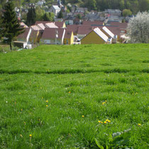 Il est primordial  de  maintenir en place cette parcelle enherbée à l’amont d’une zone urbaine. Elle est le seul tampon entre les ruissellements d’origine agricole et les zones habitées.