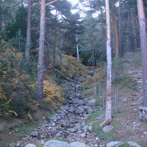 Arroyo Navezuela