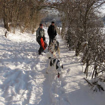 Winterspaziergang mit Toback, Elli, Lune, Angela, Ingrid und Andreas