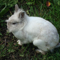 Legolas