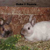 Duke + Donnie