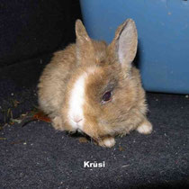 Krüsi