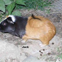 Jack
