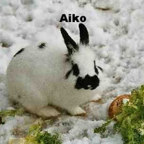 Aiko