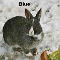 Blue