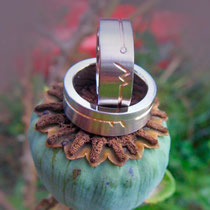 Trauringe Palladium mit Rotgold/Gelbgold und Brillant