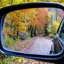 Herbstwald im Spiegel; Foto: Sonja Grambach 
