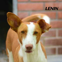 LENIN