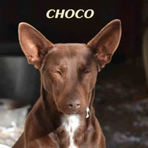 CHOCO