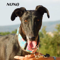 NUNA
