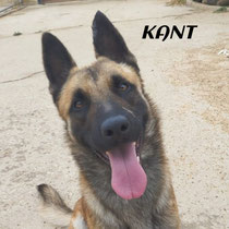 KANT