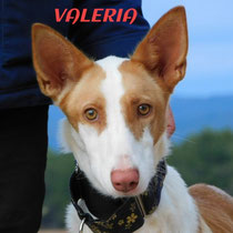 VALERIA
