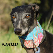 NAOMI