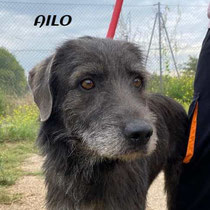 AILO