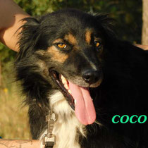 COCO